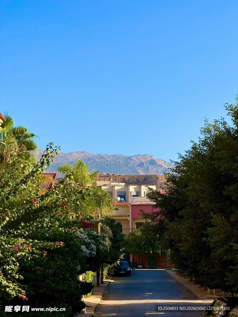 山间小道旁的葱郁景致