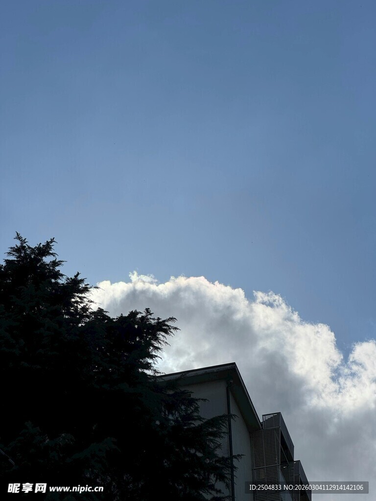 蓝天绿树旁的云朵