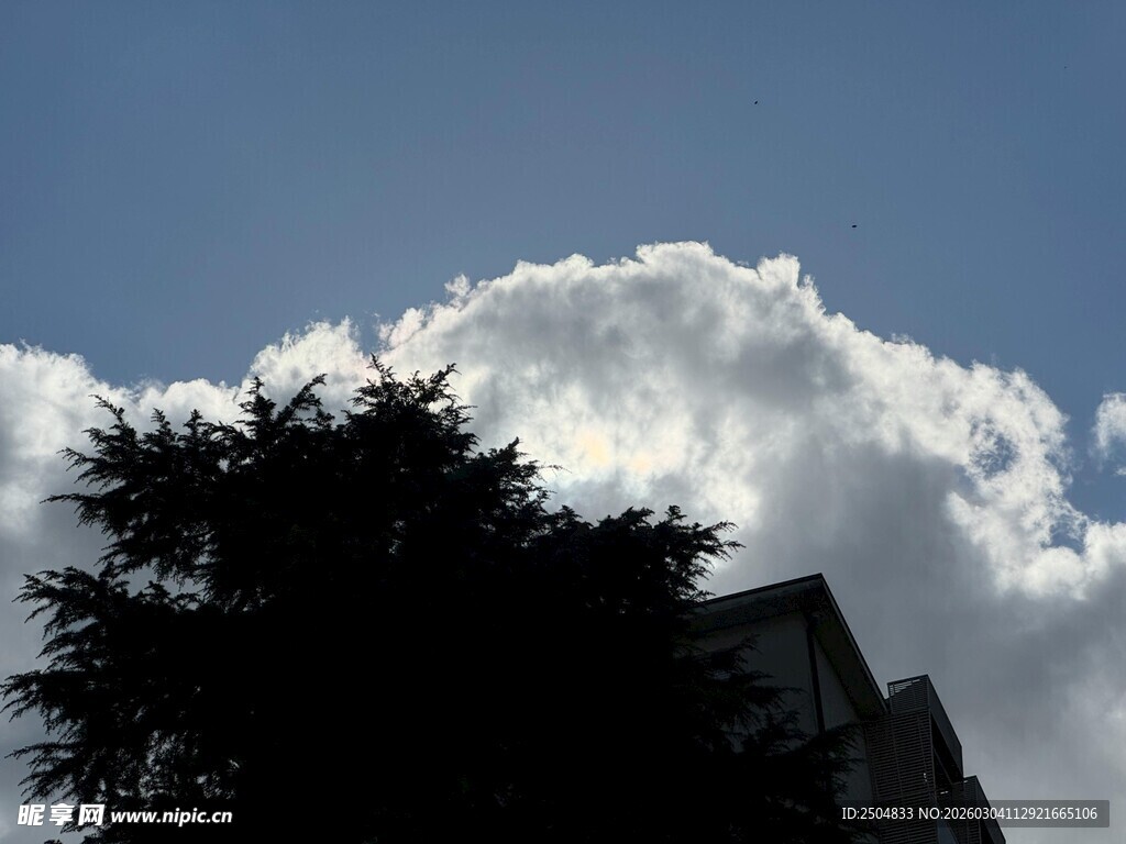 蓝天绿树间的云朵一角