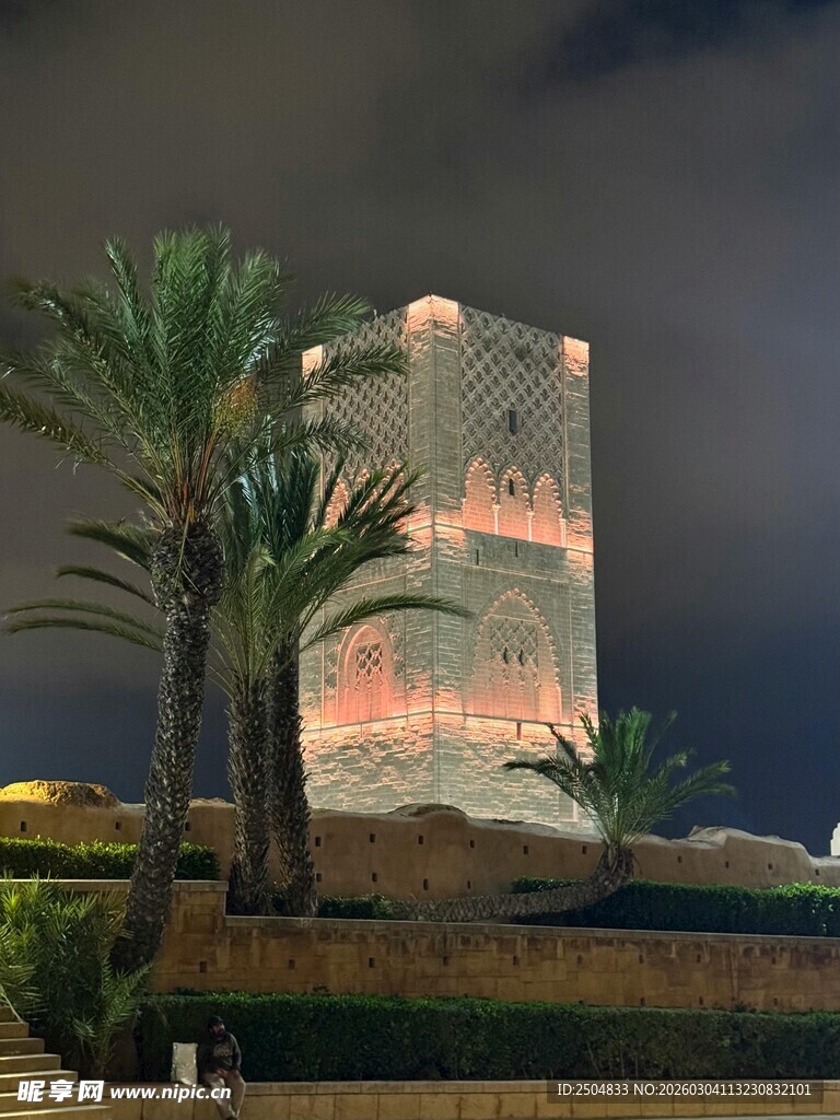 夜晚塔楼与棕榈树景观
