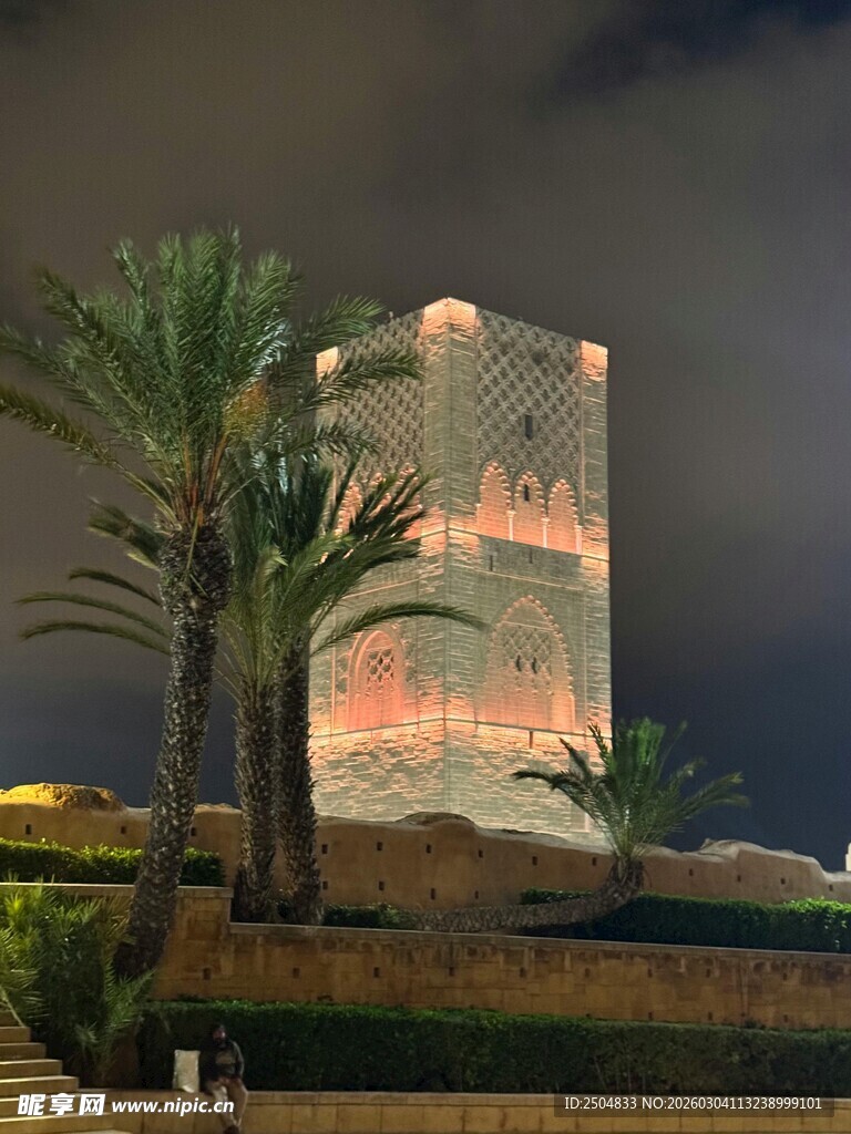 夜幕下的塔楼与棕榈树