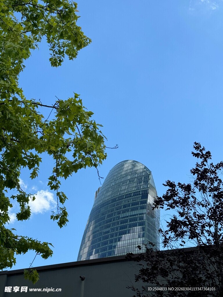 城市中高楼与绿树相映