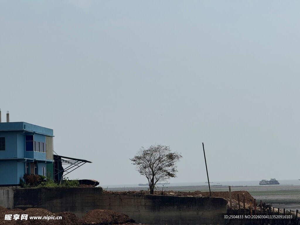 江边蓝屋孤树景致