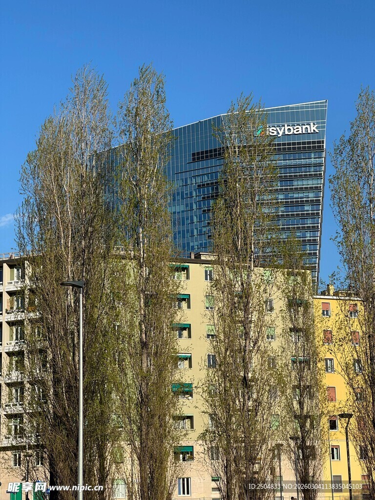 城市中林立的建筑与树木
