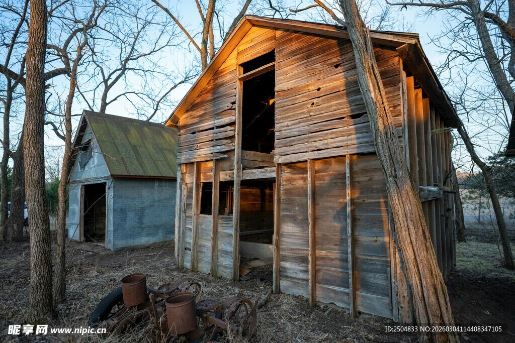 废弃木屋隐于树林间