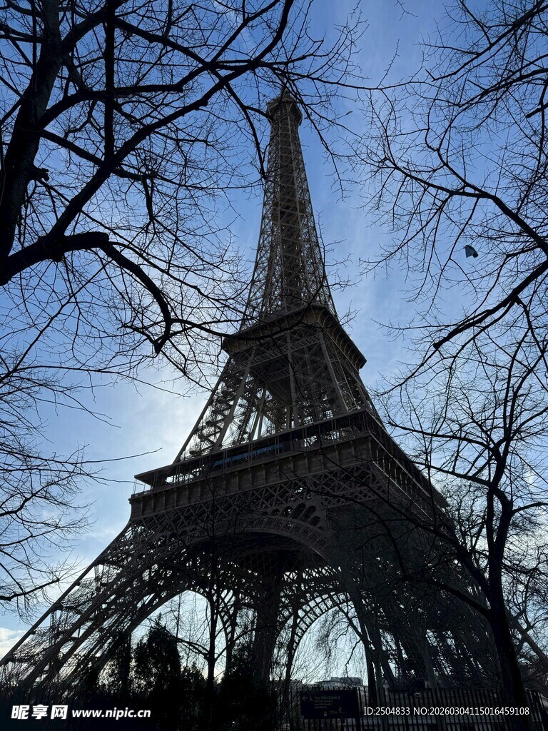 埃菲尔铁塔下的冬日景象