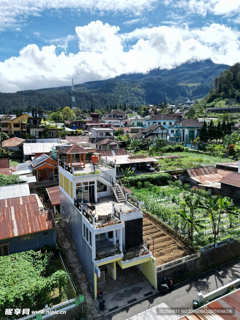 乡村屋顶菜园景观