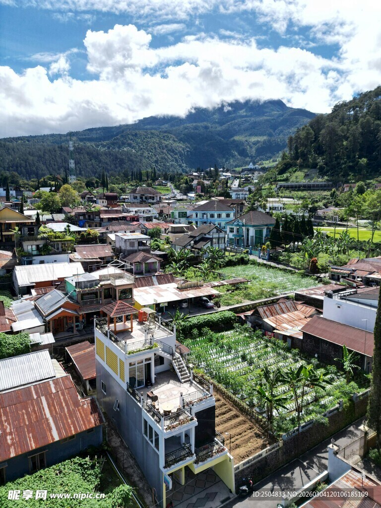 屋顶绿意盎然的山间小镇