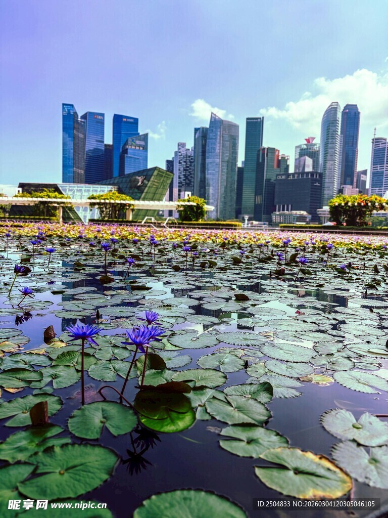 新加坡城市湖畔美景