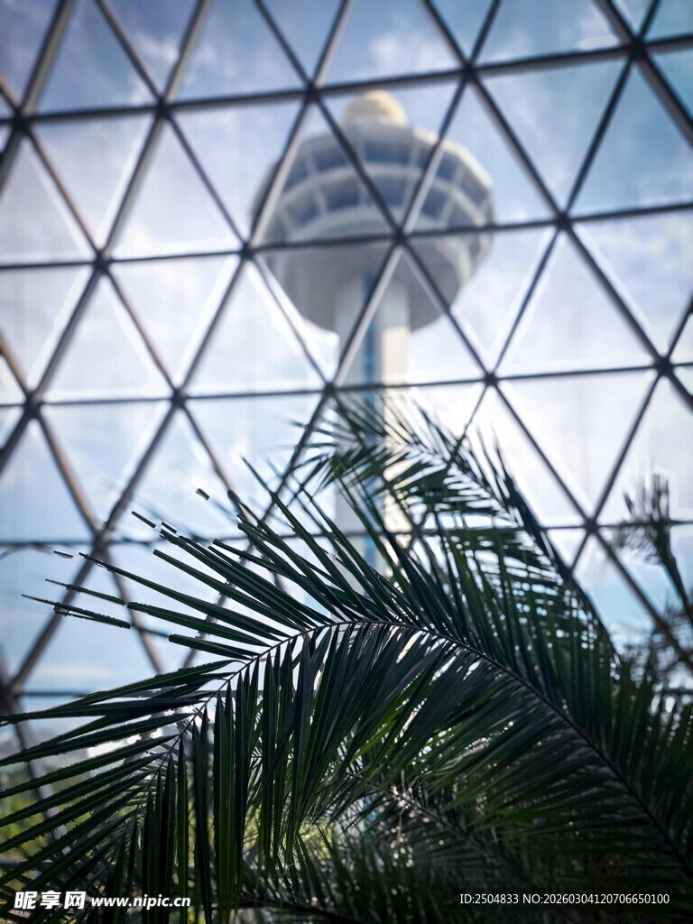 玻璃穹顶下的棕榈与高塔