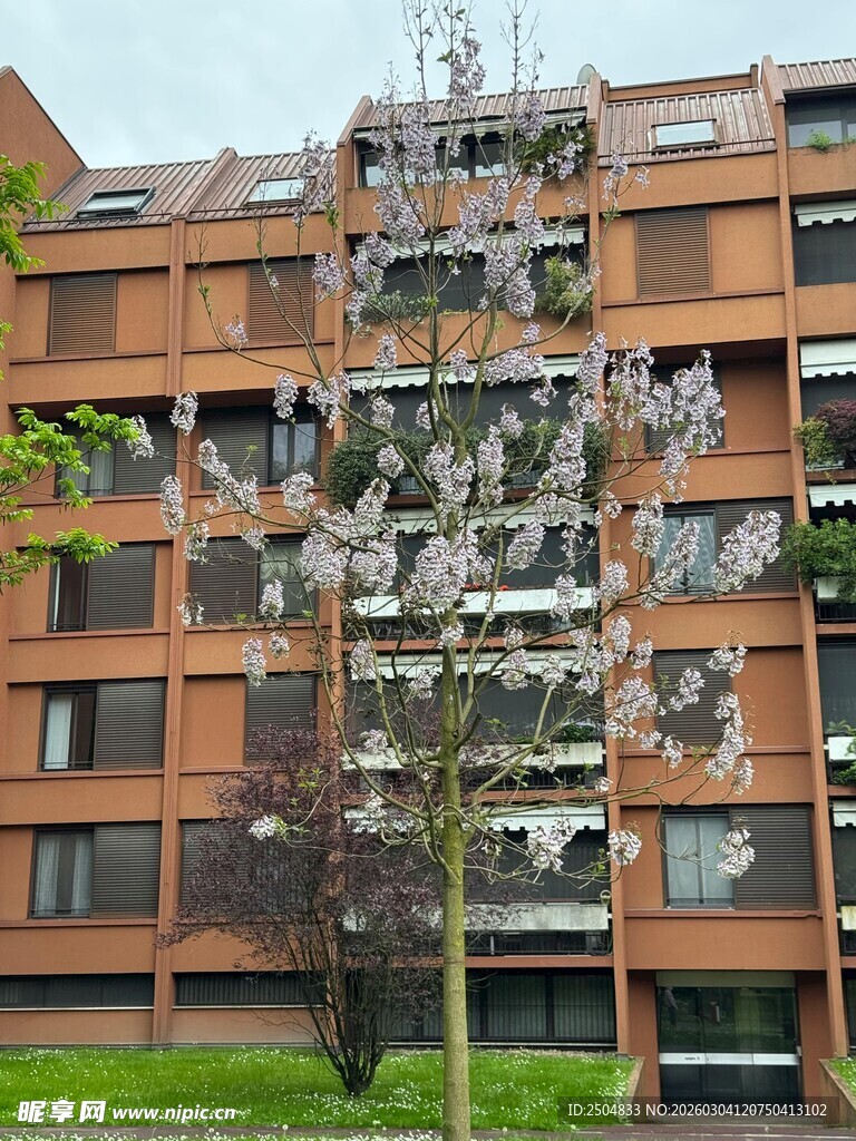 红砖公寓楼前绿植点缀