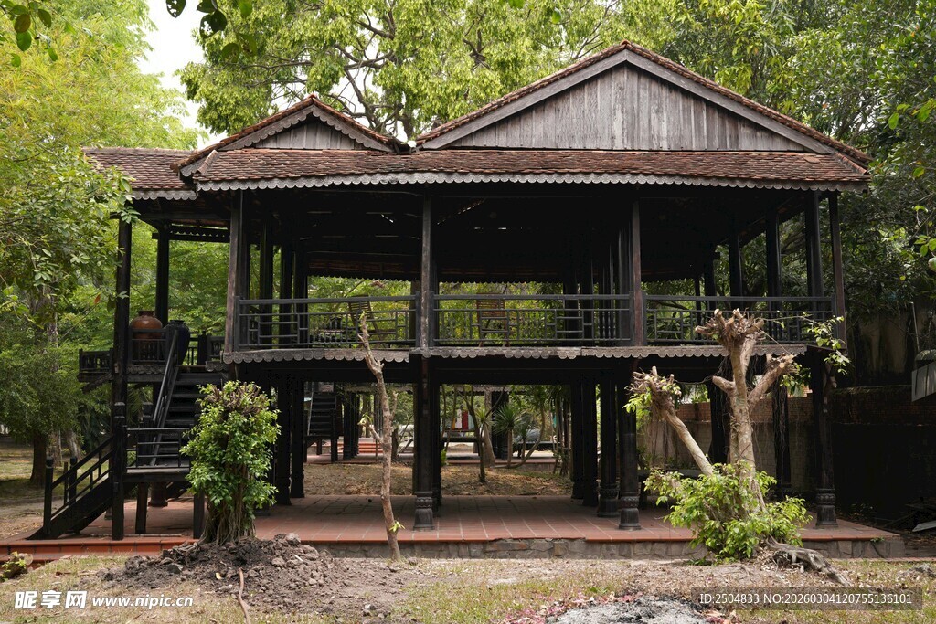 林中木质高脚屋景观