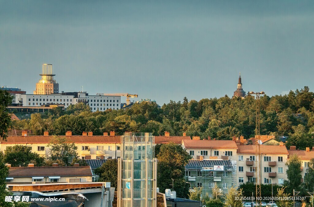 城市风景与葱郁树木景观