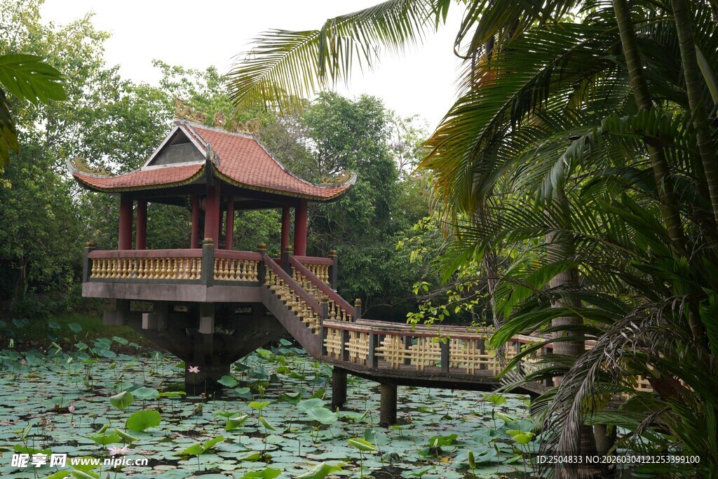 湖畔凉亭 莲叶环绕美景