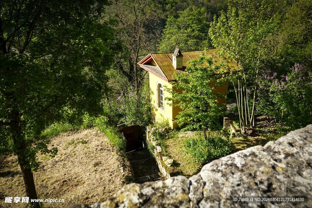 山间小屋隐于葱郁树林中