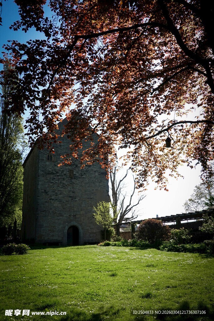 绿荫下的古老建筑