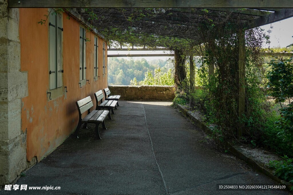 宁静庭院中的长椅与绿植