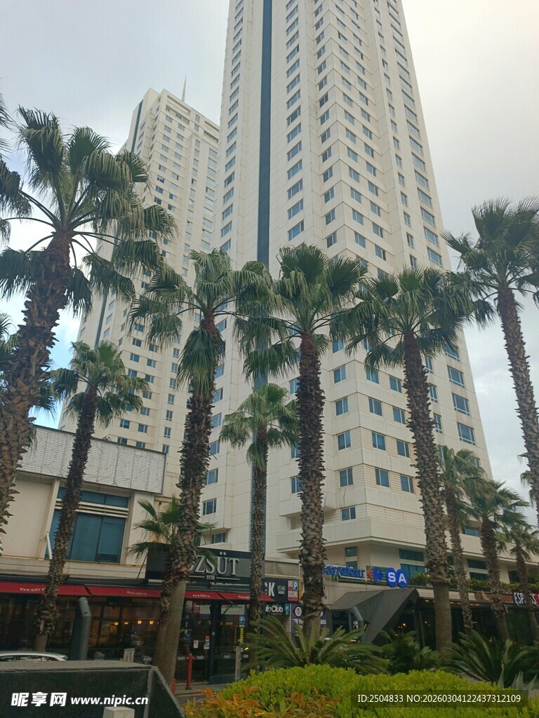 城市中高耸的摩天大楼与棕榈树