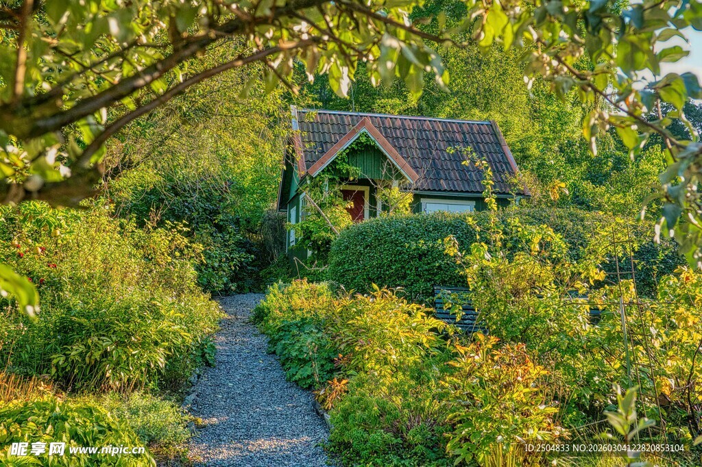 林间小径旁的温馨小屋