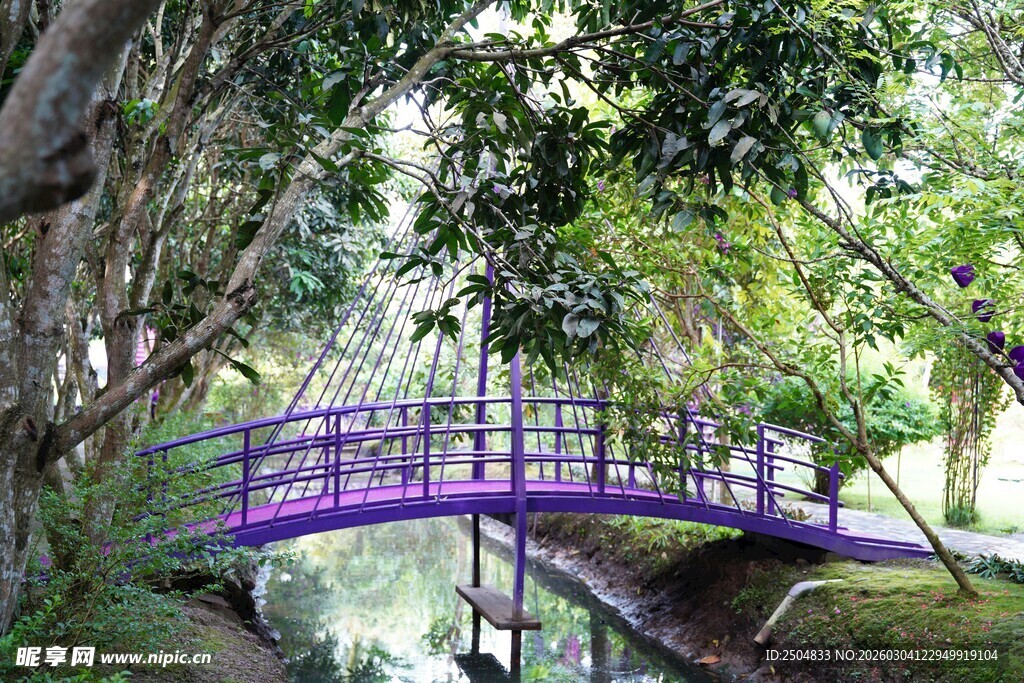 紫色小桥隐于葱郁林间