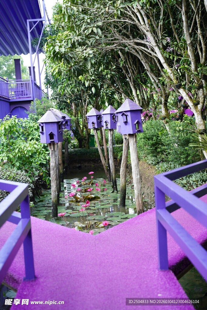 梦幻紫色花园小径景观