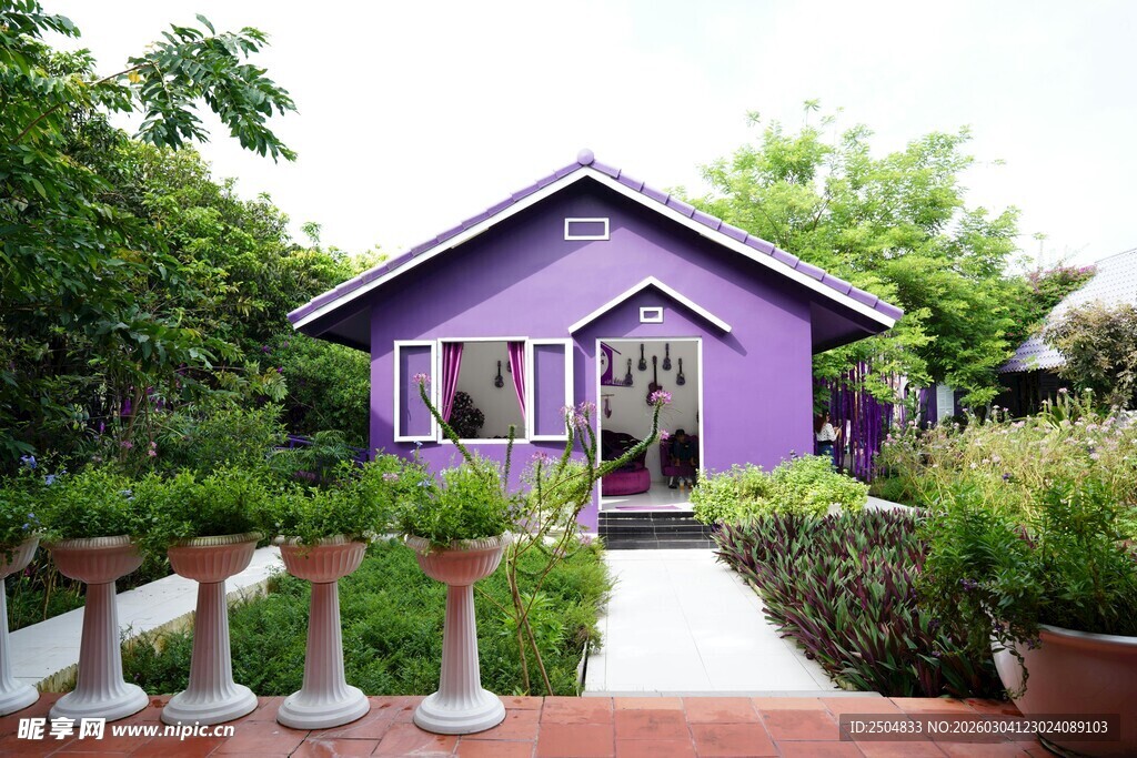 紫色小屋的花园景致
