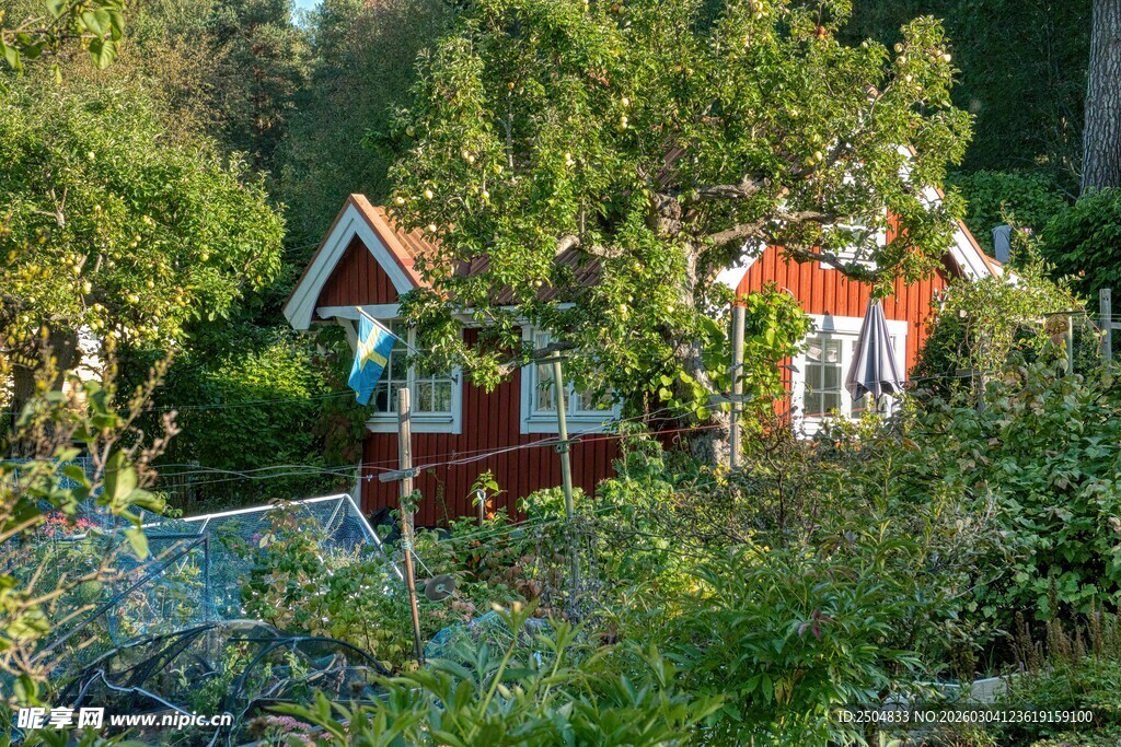 森林中的彩色童话小屋