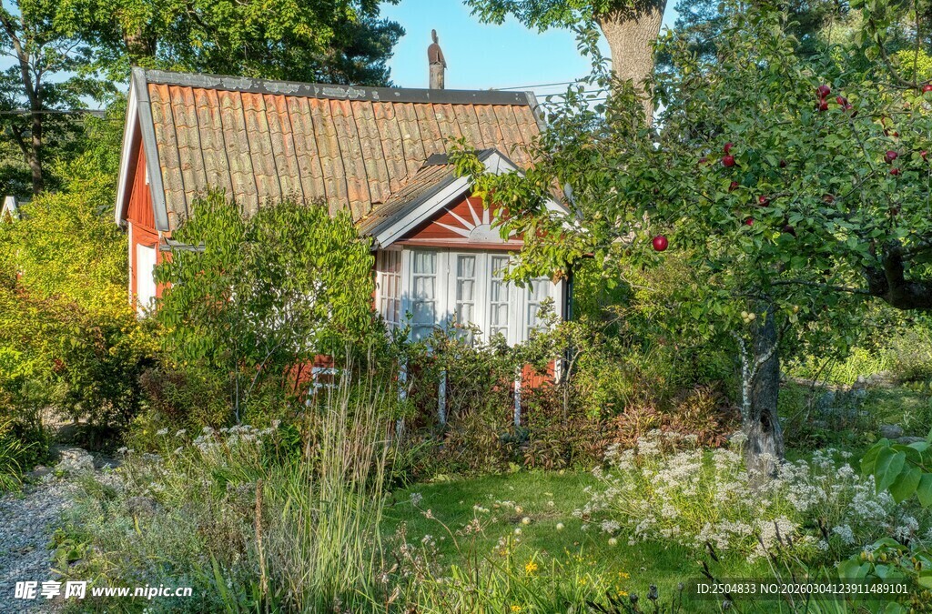 乡村小屋隐于葱郁草木间