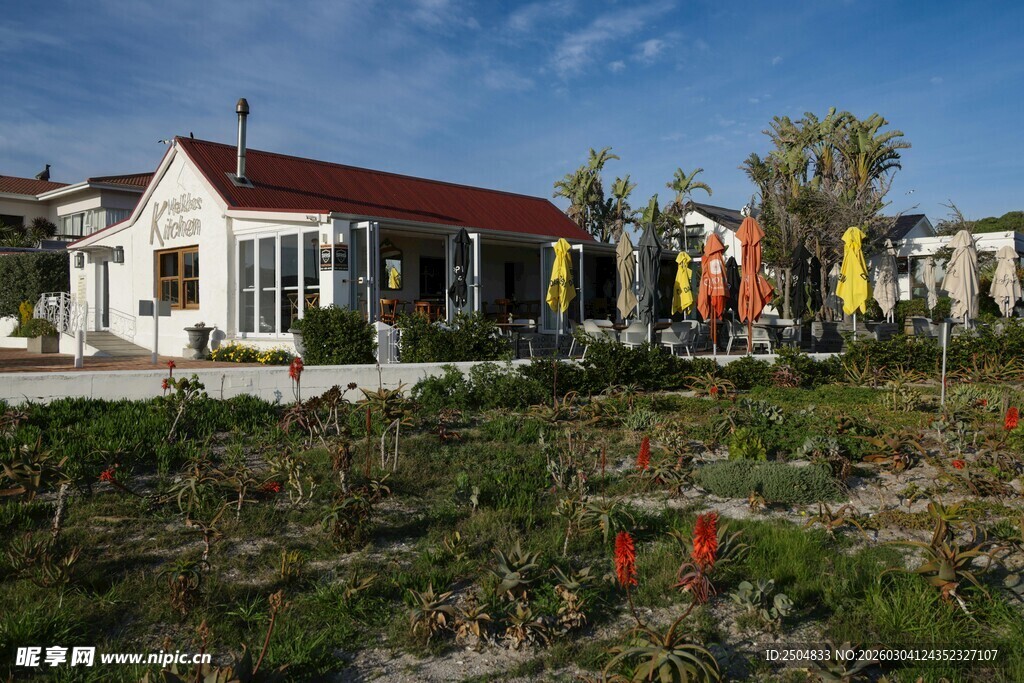 多彩房屋旁的绿植景观