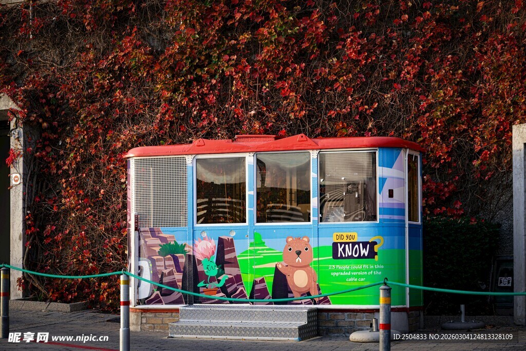 多彩报刊亭旁的红叶景观