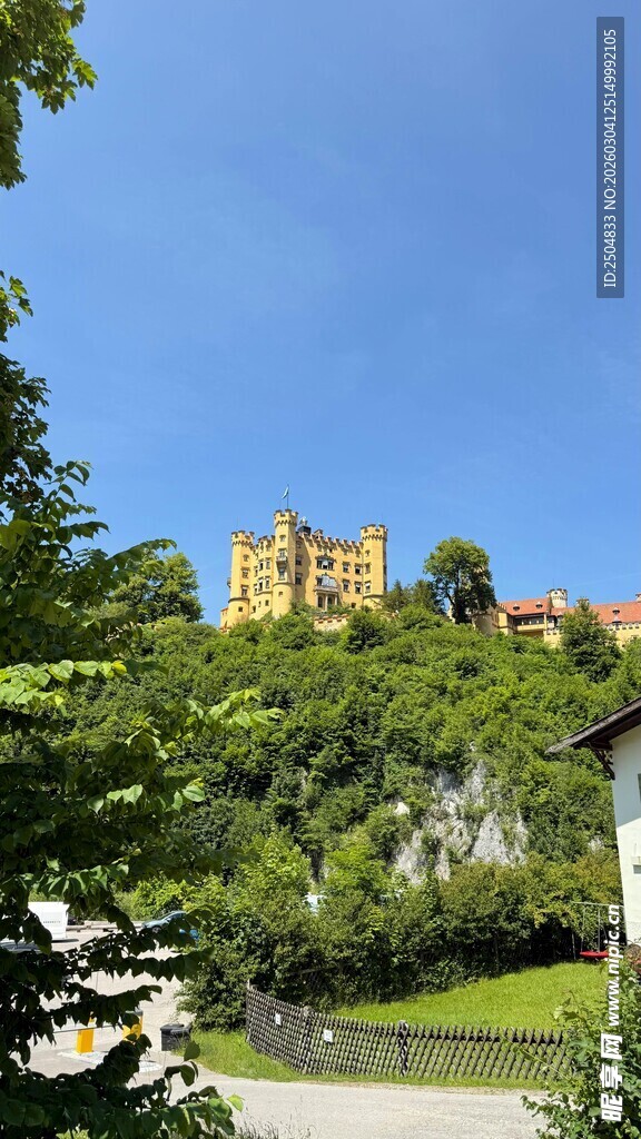 绿树环绕中的古老城堡