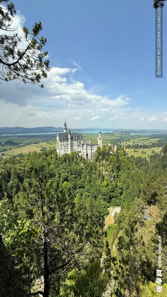 森林中的城堡远景