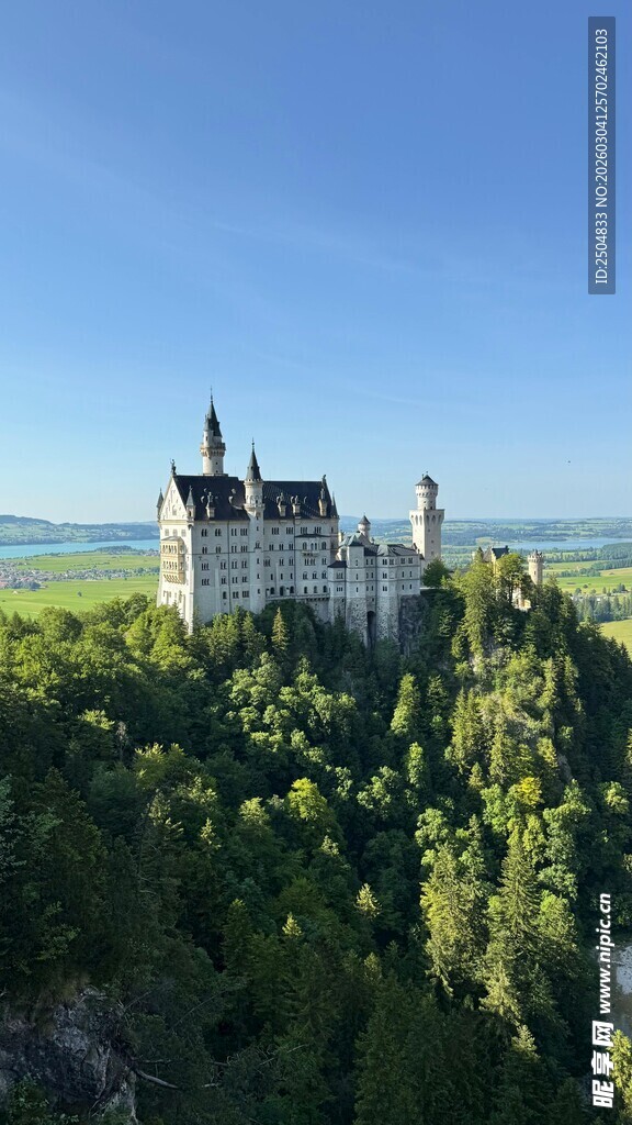 梦幻新天鹅堡 森林环绕