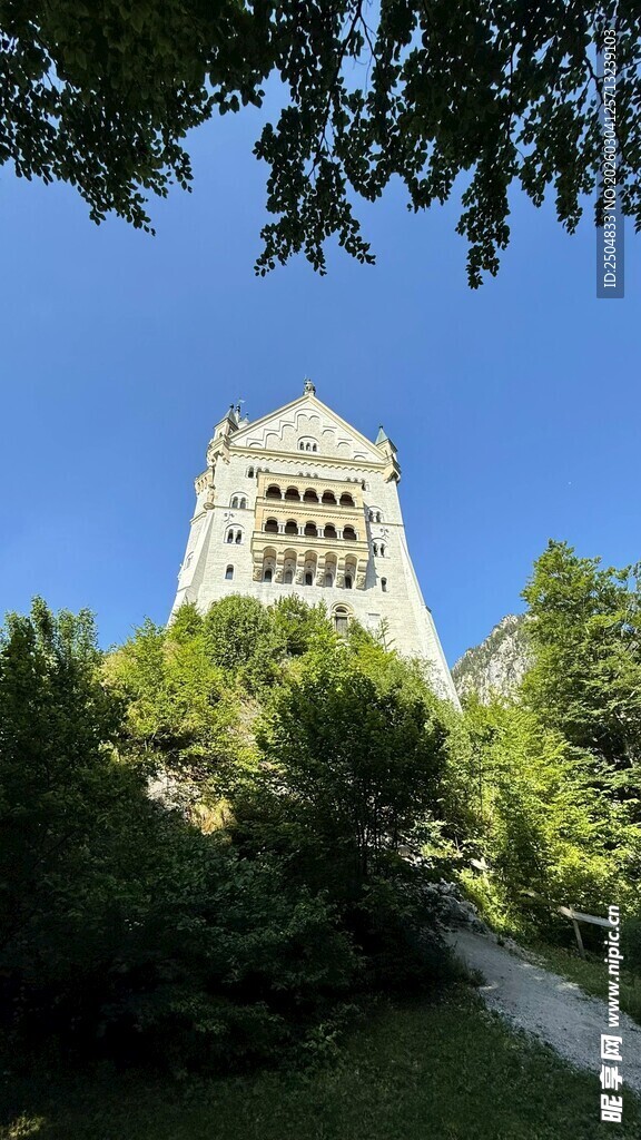 绿树环绕中的宏伟建筑