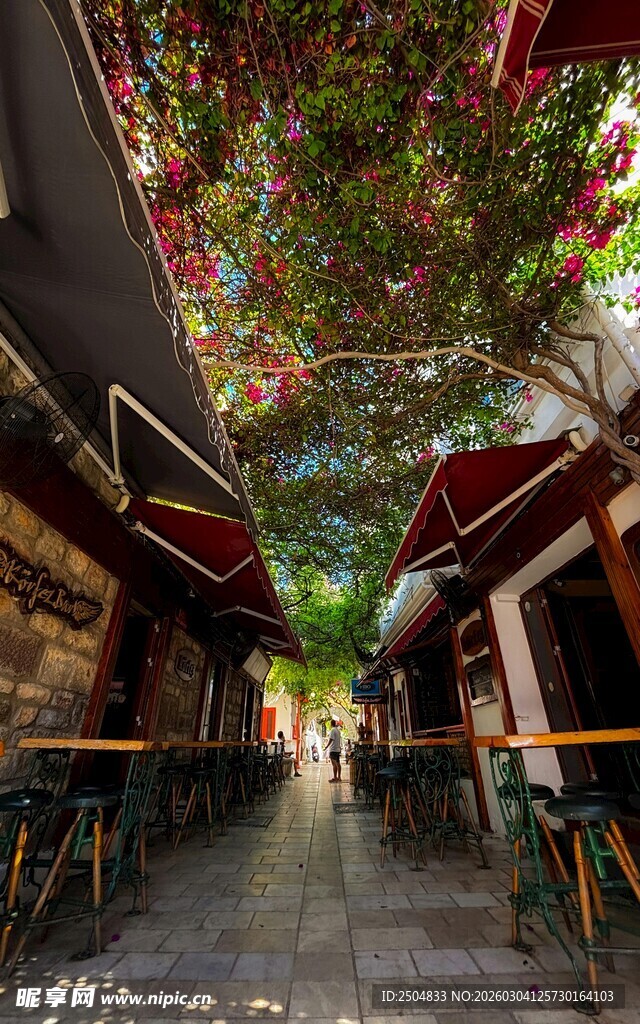 梦幻绿植覆盖的街道小巷