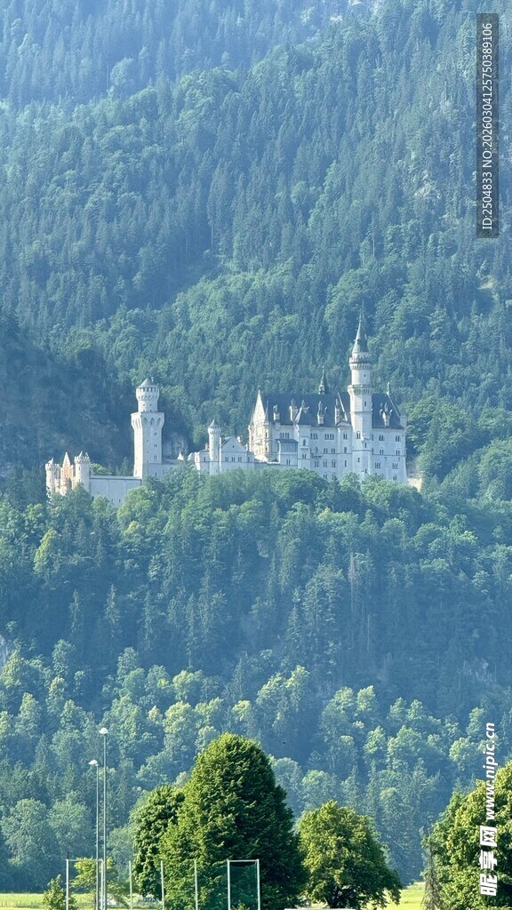 梦幻新天鹅堡 山林中的城堡