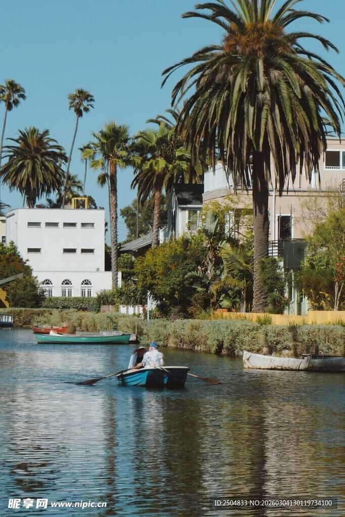 湖畔小船与棕榈树风景