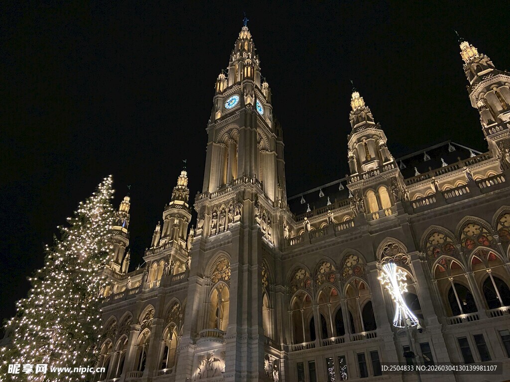 维也纳市政厅夜景圣诞树