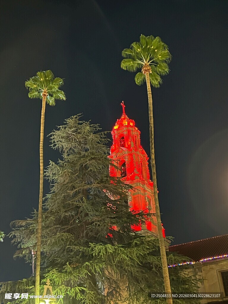 夜晚红塔与棕榈树景观