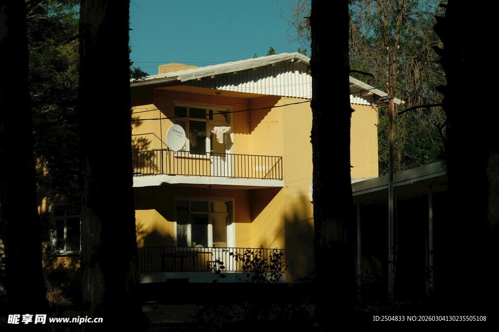 林间黄屋 静谧温馨景致