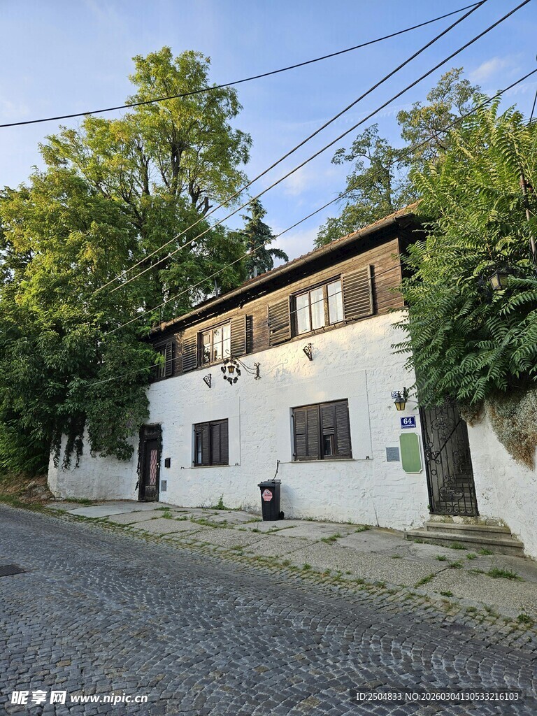 街边白墙房屋与绿树