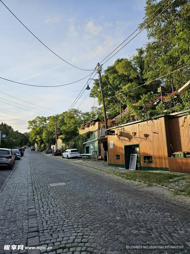 宁静街道旁的建筑与绿树