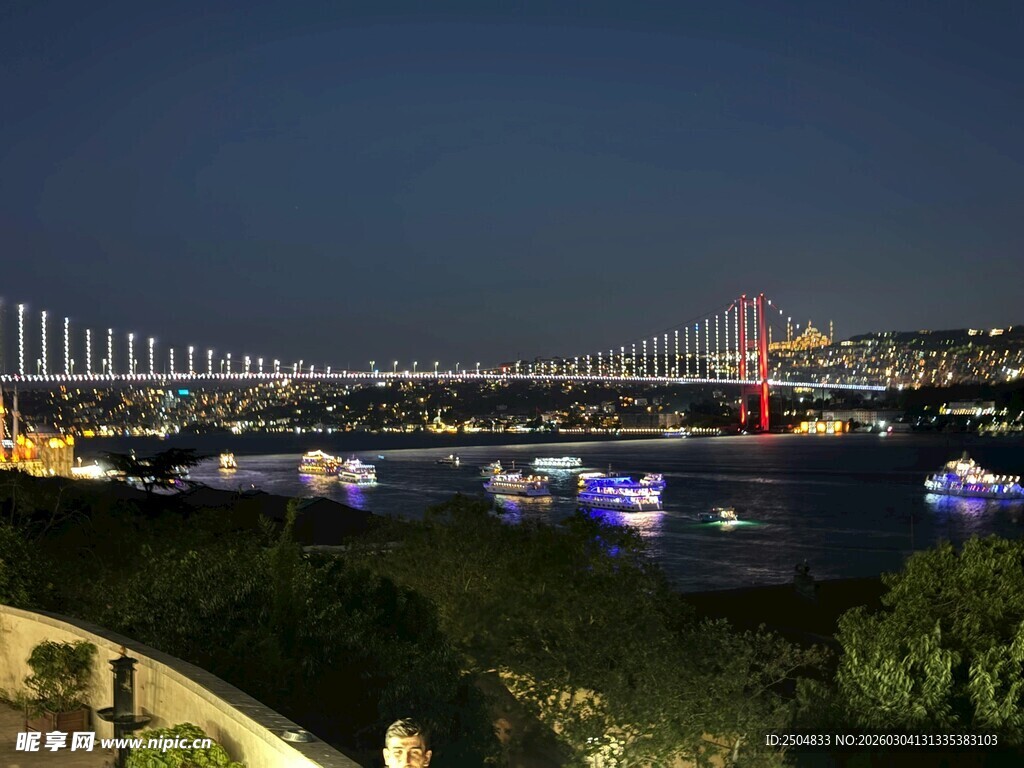 伊斯坦布尔大桥夜景