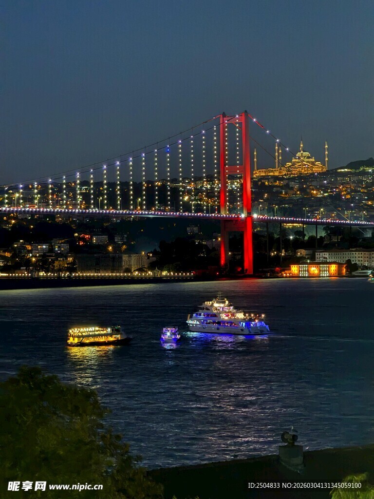 伊斯坦布尔大桥夜景