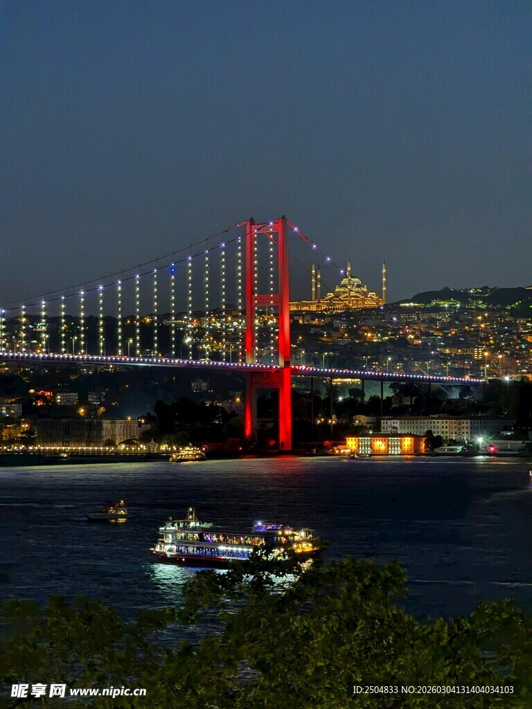 伊斯坦布尔大桥夜景