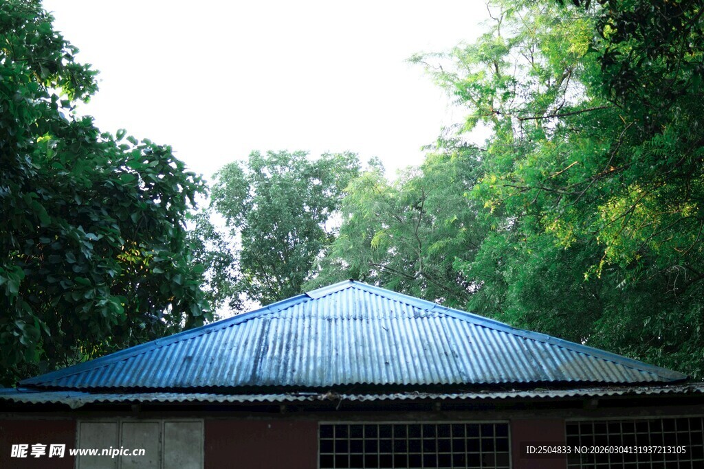 林间小屋的蓝色屋顶