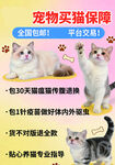 宠物猫保障服务优惠多多