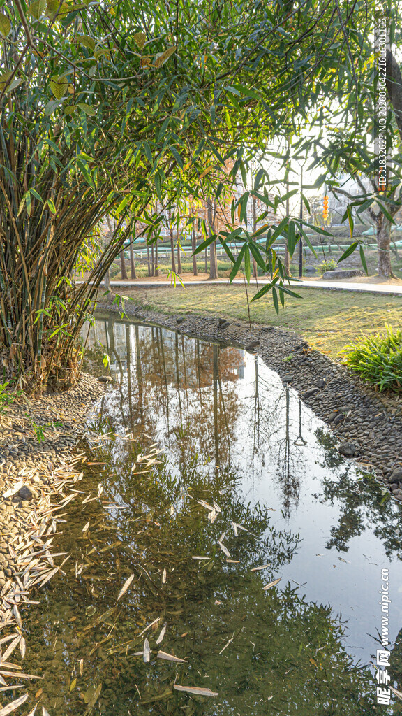 溪边葱郁绿植与平静水面