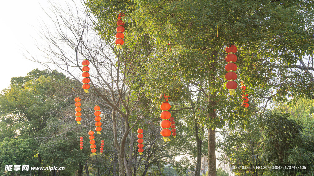 树上挂着的红色祈福牌