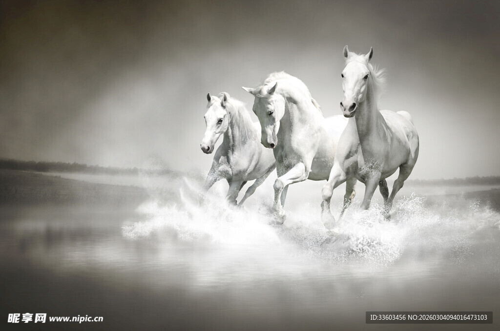 三匹白马奔腾于云雾间